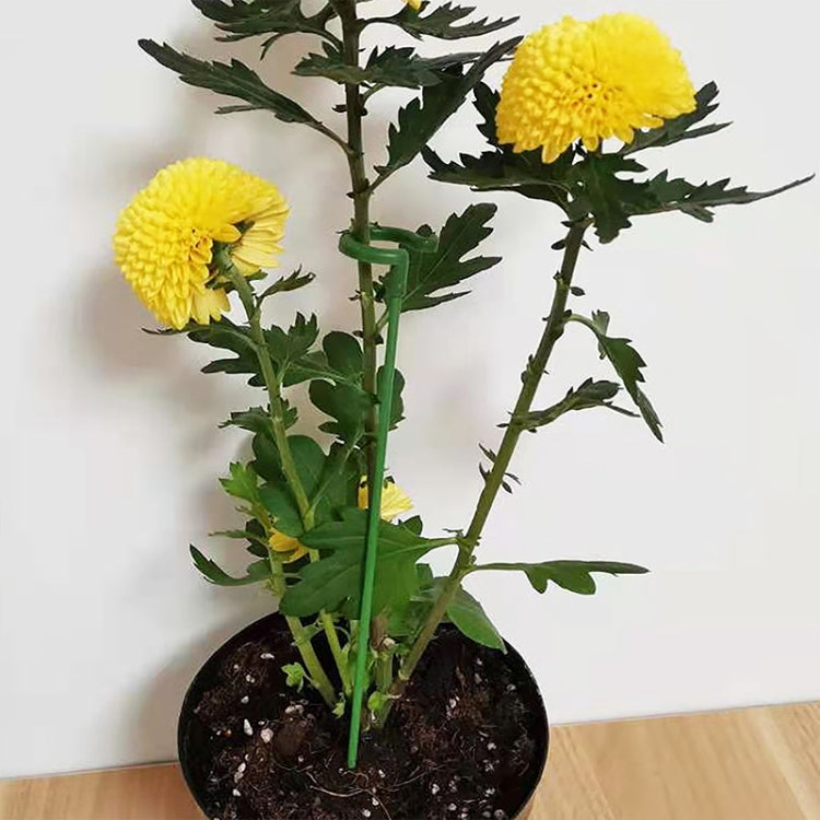 10pcs Plant Potted Flower Shape Support Rod Fixed Anti-lodging Leaf Guard Frame, Size:48cm