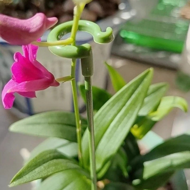 10pcs Plant Potted Flower Shape Support Rod Fixed Anti-lodging Leaf Guard Frame, Size:48cm