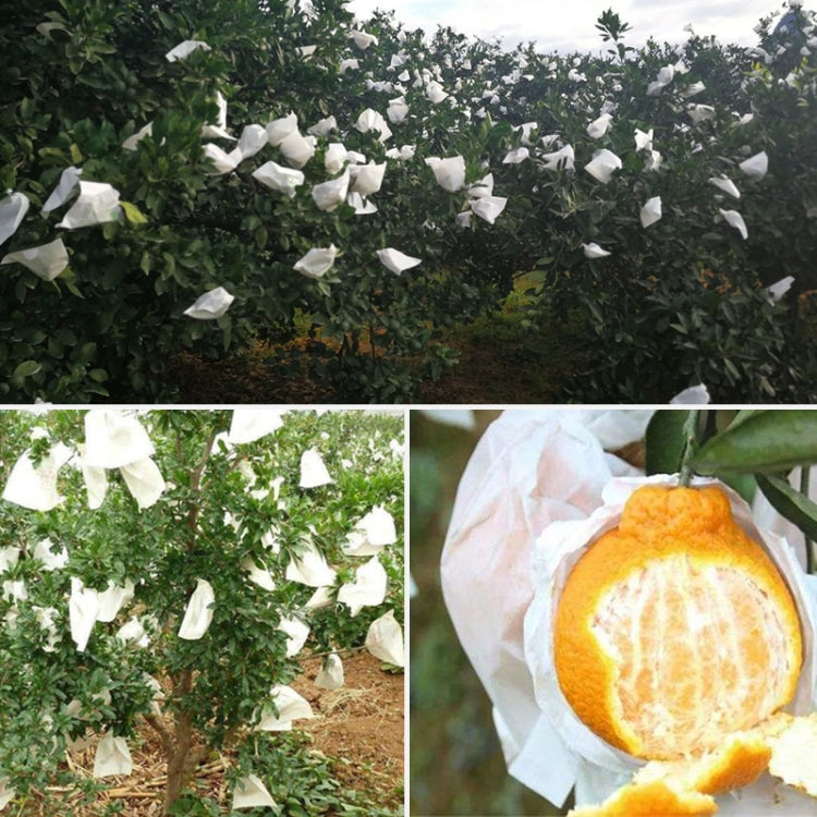 100pcs Fruit Protective Bag Waterproof Orange Packaging Bag Paper Bag, Specification:16x20cm