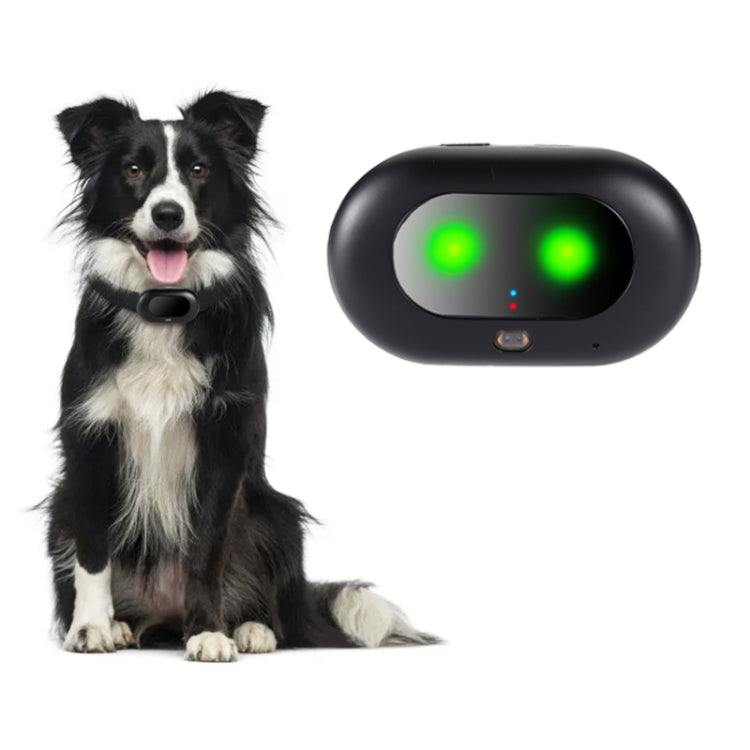 V41 Smart GPS Tracker IP67 Waterproof Pet Anti-loss Positioner, Version:4G  Version-A for Europe Asia Africa Australia(Black)