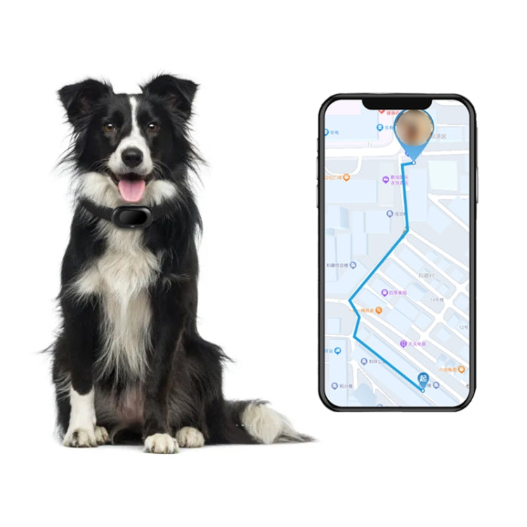 V41 Smart GPS Tracker IP67 Waterproof Pet Anti-loss Positioner, Version:4G  Version-A for Europe Asia Africa Australia(Black)