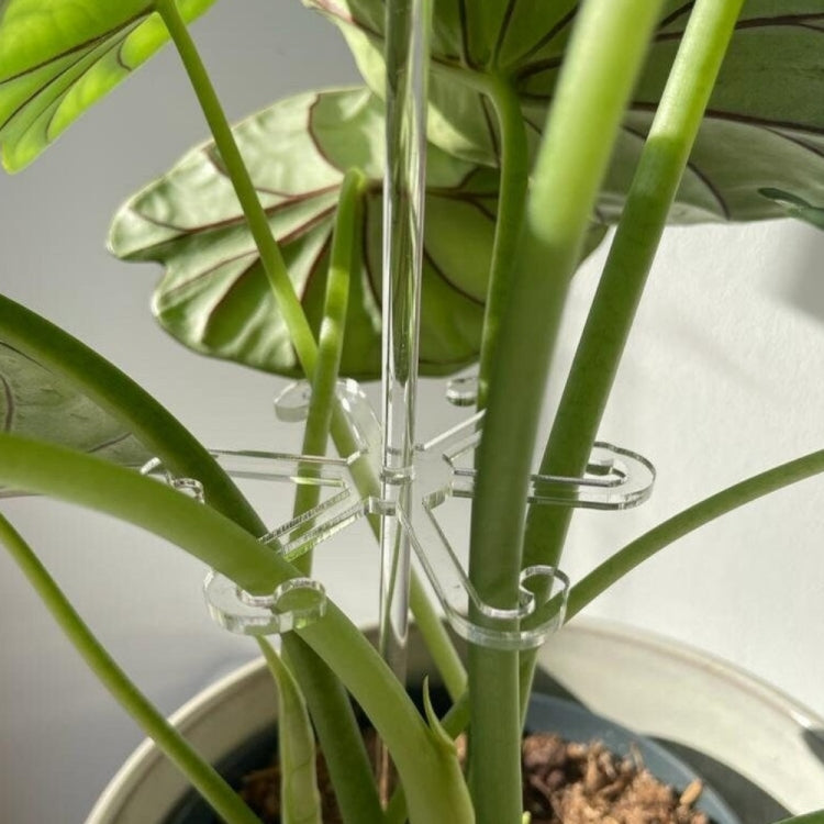 YX106 Acrylic Plant Growth Support Bracket(Small)