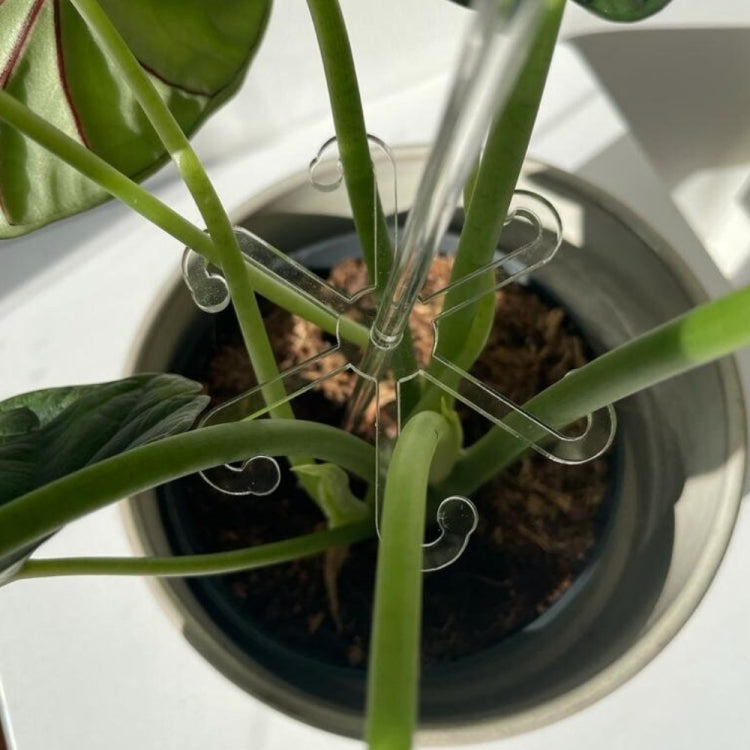 YX106 Acrylic Plant Growth Support Bracket(Small)