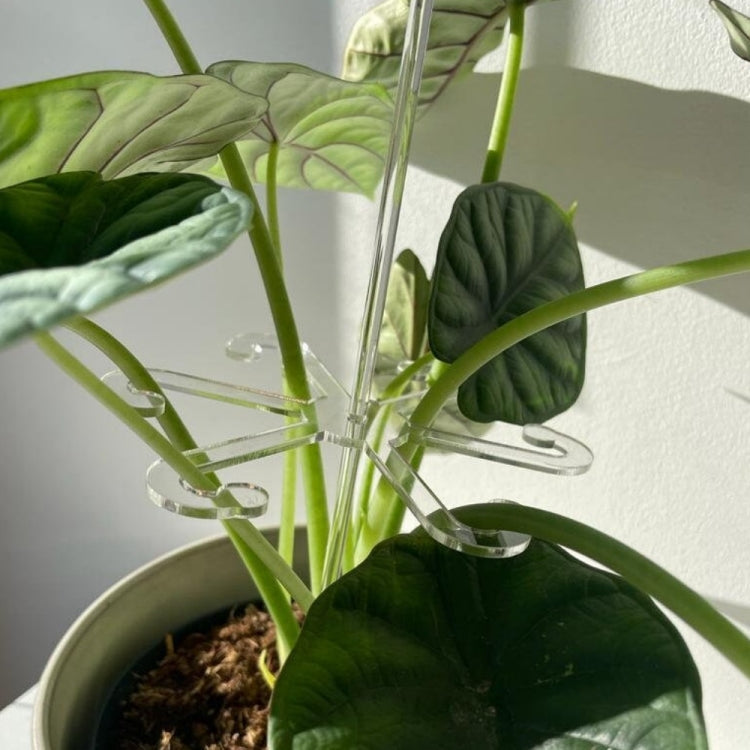 YX106 Acrylic Plant Growth Support Bracket(Small)