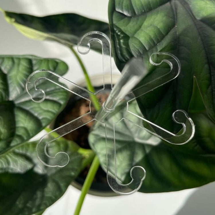 YX106 Acrylic Plant Growth Support Bracket(Medium)