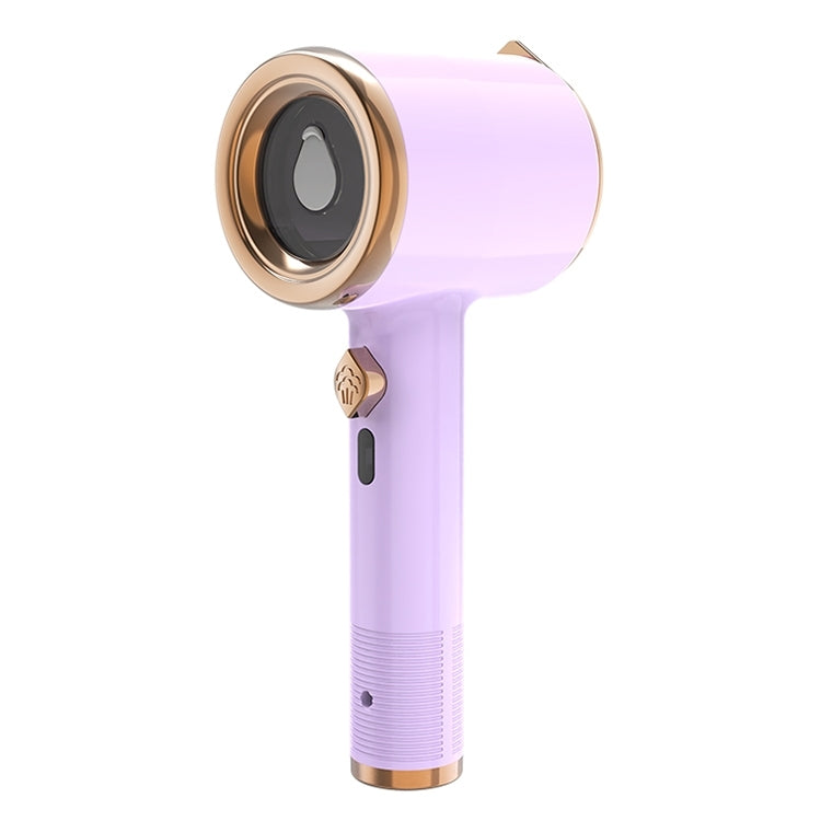 GT-01 33W Handheld Garment Steamer Electric Iron, EU Plug (Light Purple)