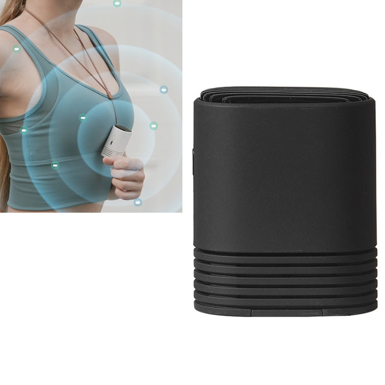 HE-K001 Hanging Neck Negative USB Rechargeable Ion Air Purifier Portable Household Formaldehyde Removal Portable Purifier(Black)