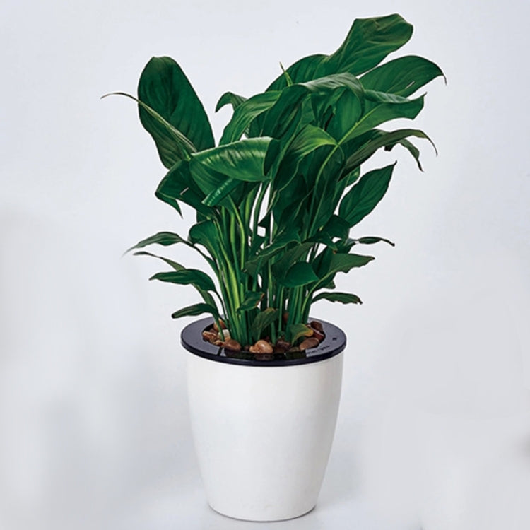 Lazy Flower Pots Automatic Water-absorbing Hydroponic Potted Plants Circular Resin Plastic Flower Pots Double-layer Design Self Watering Planter, Diameter: 11cm, Height: 10.3cm(White)