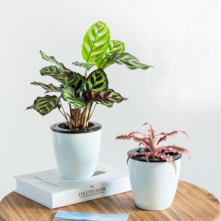 Lazy Flower Pots Automatic Water-absorbing Hydroponic Potted Plants Circular Resin Plastic Flower Pots Double-layer Design Self Watering Planter, Diameter: 13cm, Height: 13.7cm(White)