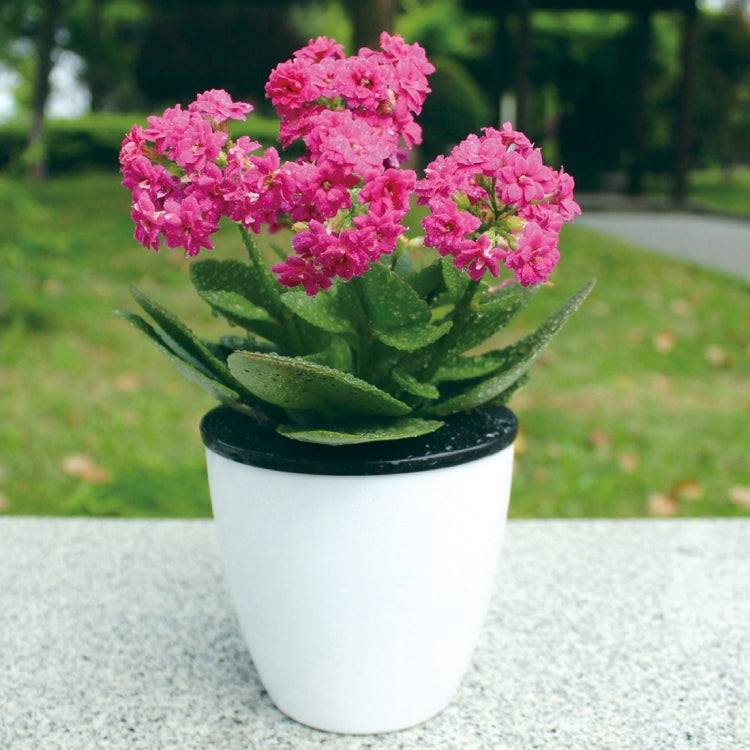 Lazy Flower Pots Automatic Water-absorbing Hydroponic Potted Plants Circular Resin Plastic Flower Pots Double-layer Design Self Watering Planter, Diameter: 13cm, Height: 13.7cm(White)