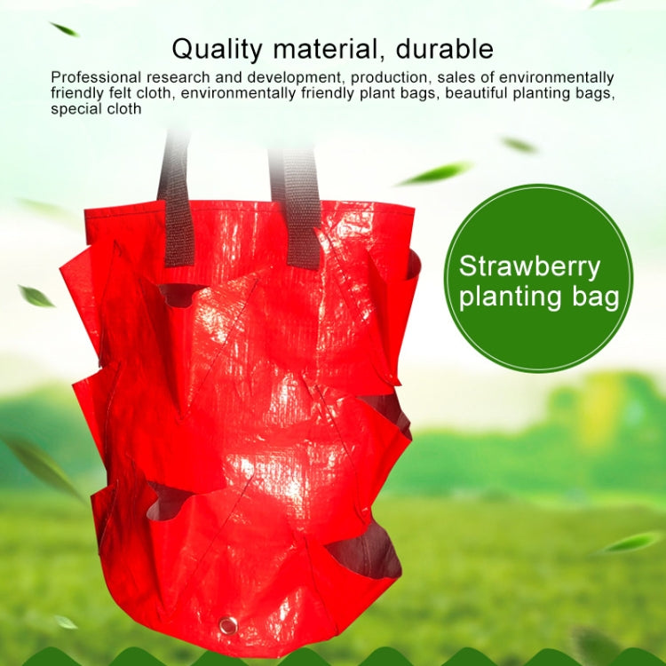CMD-3 3 Gallon Hanging Strawberry PE Planting Bag Horticultural Flower Planting Bag(Green)