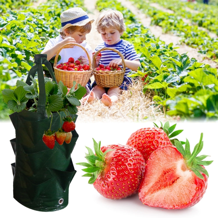 CMD-3 3 Gallon Hanging Strawberry PE Planting Bag Horticultural Flower Planting Bag(Green)