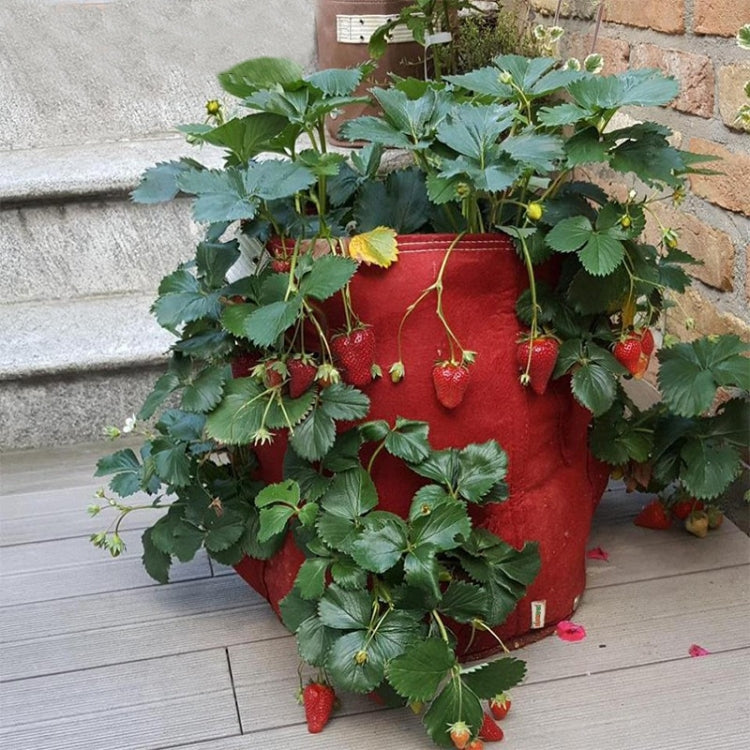 6 Pockets 26L / 7 Gallon Non-woven Felt Strawberry Planting Bag, Size: 30X35cm(Black)