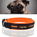 Pet Dogs Polyester Reflective Breathable Pets Collar Traction Lead Leash, Size: S, 2.0*35*40cm (Orange)