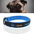 Pet Dogs Polyester Reflective Breathable Pets Collar Traction Lead Leash, Size: S, 2.0*35*40cm (Blue)