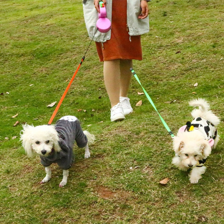 Two-headed Creative Automatic Retractable Pet Traction Rope (Pink)