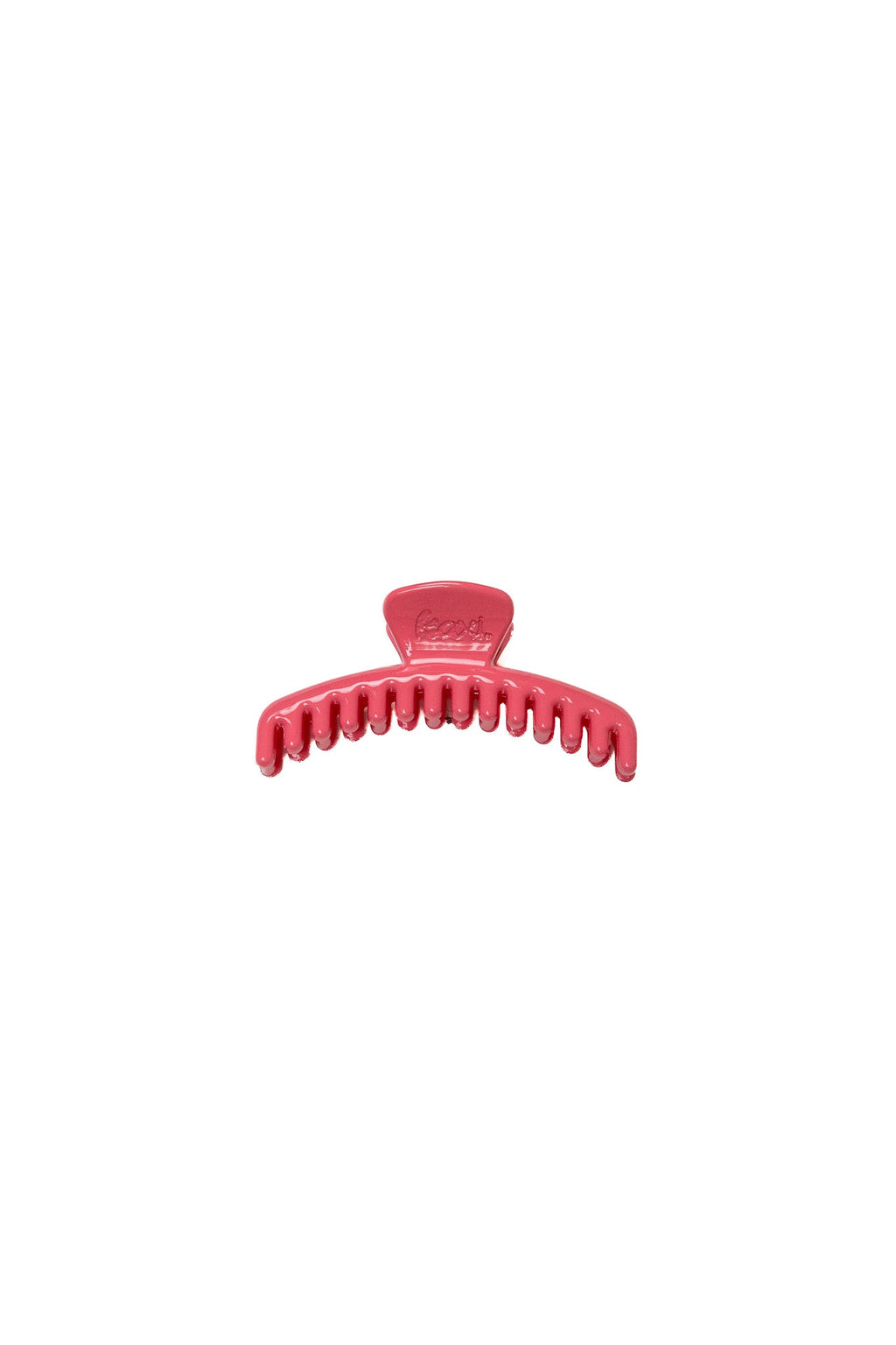 SHINY MINI HOLD EVERYTHING CLAW