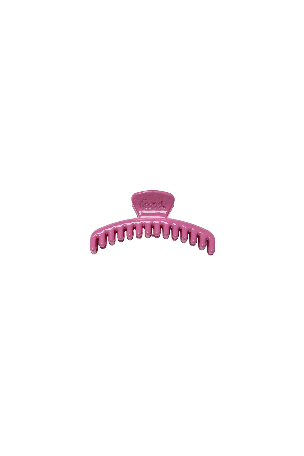 SHINY MINI HOLD EVERYTHING CLAW