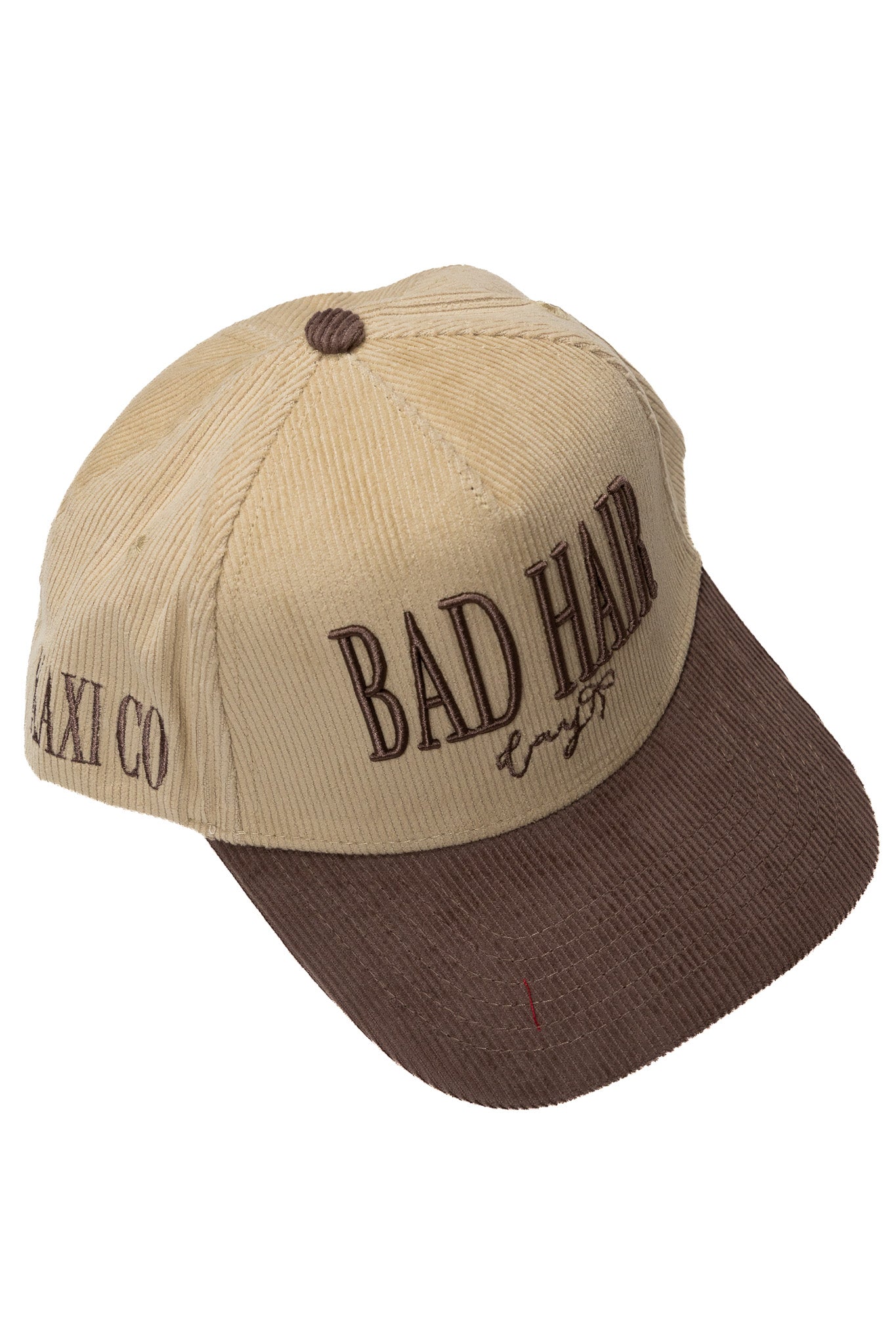 BAD HAIR DAY TRUCKER HAT