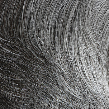HIM Collection Dignified Men's Wig, M44S 50% Grey / Darkest Brown