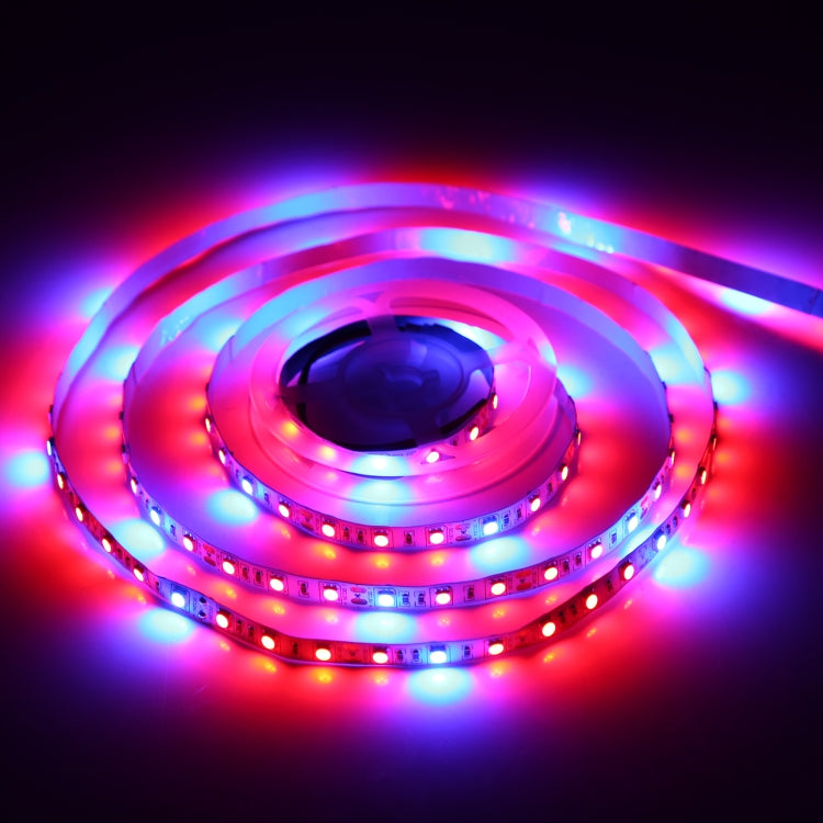 4:1 2m Bare Board 5050 SMD RGB LED Rope Light, 12V 2A 100-240V (EU Plug)
