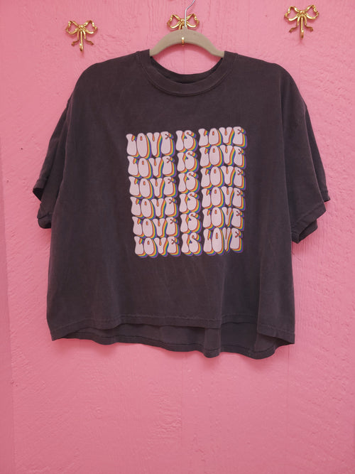 "Love is Love" Shirt