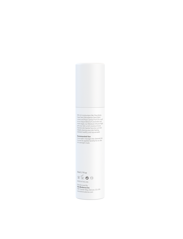 Moisture Infusion Night | Skin Moderne
