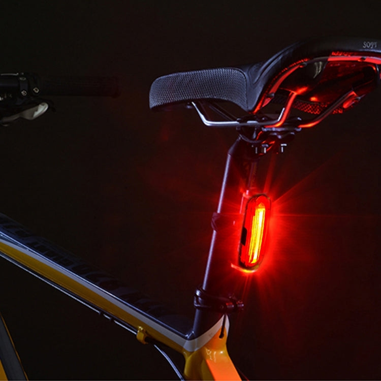 AQY-096 IPX4 Detachable USB Rechargeable Dual Color LED Bike Taillight (Blue & Red)