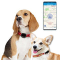 RF-V43 B Style IP67 Waterproof GPS + LBS + WiFi Pet Locator Pet Collar Tracking Device For North America/South America(Black)