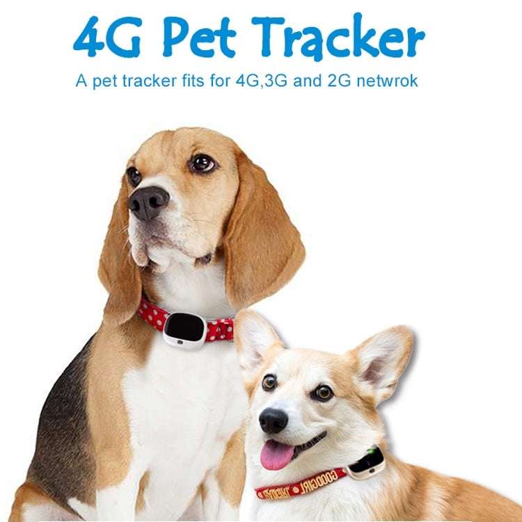 RF-V43 B Style IP67 Waterproof GPS + LBS + WiFi Pet Locator Pet Collar Tracking Device For North America/South America(Black)
