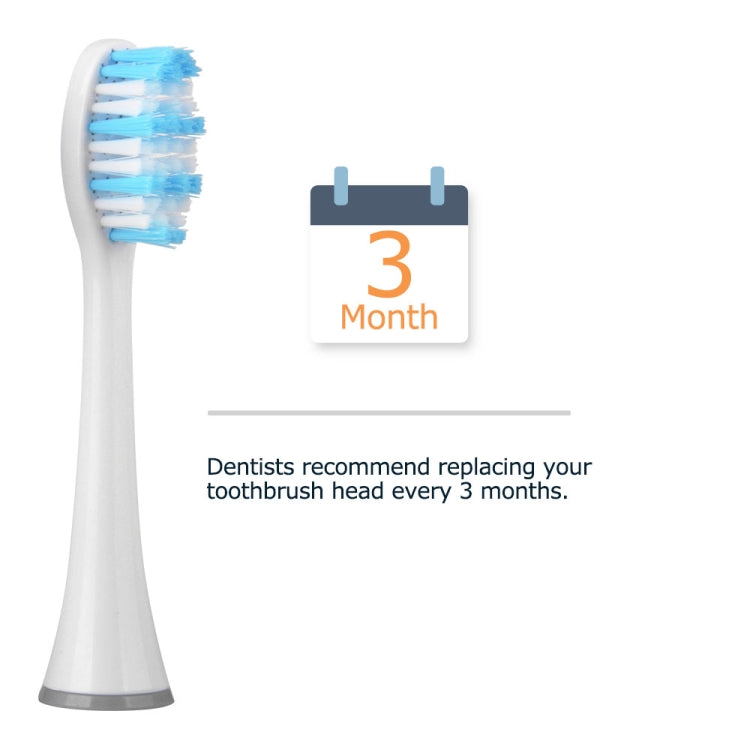4 PCS D903/D904 Replacement Brush Heads for Mornwel D01(White)
