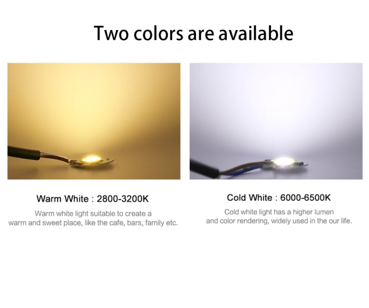 10 PCS COB LED Light Chip AC 220V LED Bulb Light Intelligent IC Driver Bulb Light DIY Spotlight Downlight Chip Outdoor Flood Light(10W(Cold White))