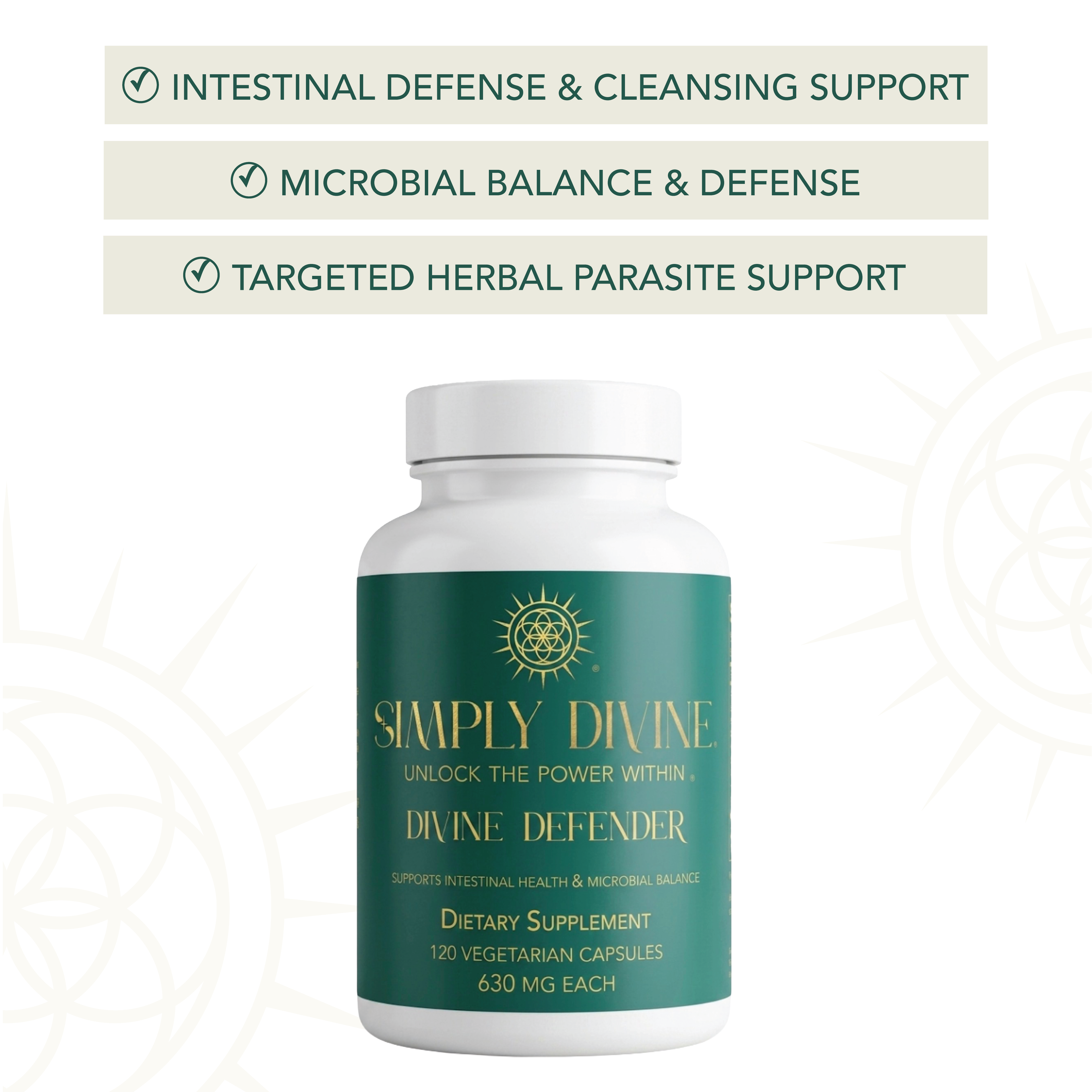 Divine Defender