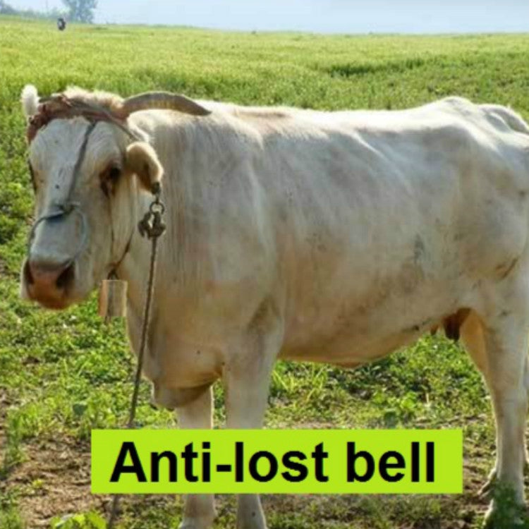 Special Loud Thick Cow Horse Sheep Farm Animals Anti-Lost Loud Bell, SIZE:XL
