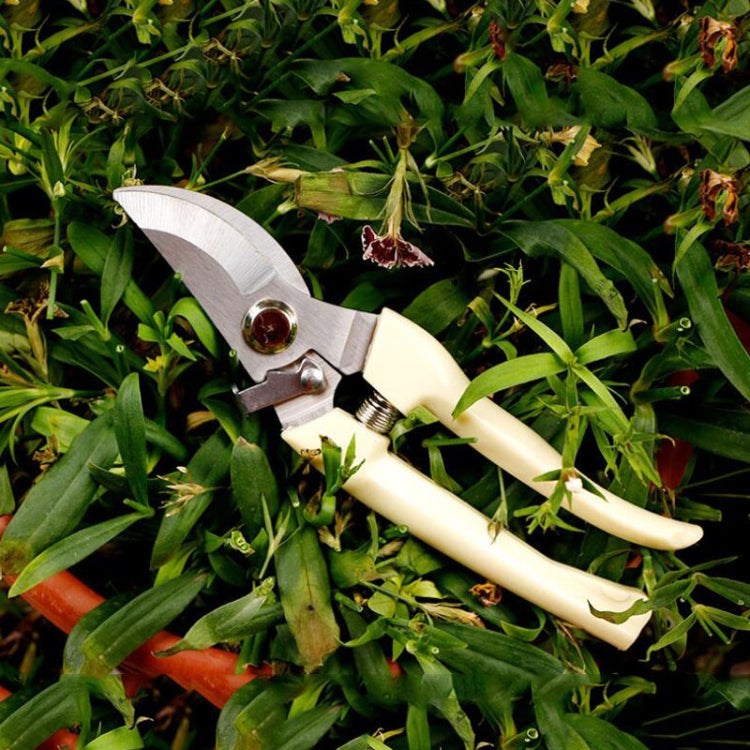 Garden Tools Stainless Steel Pruning Shears Fruit Tree Scissors Garden Branch Shears(Elbow) New And Old Packages Randomly Delivery