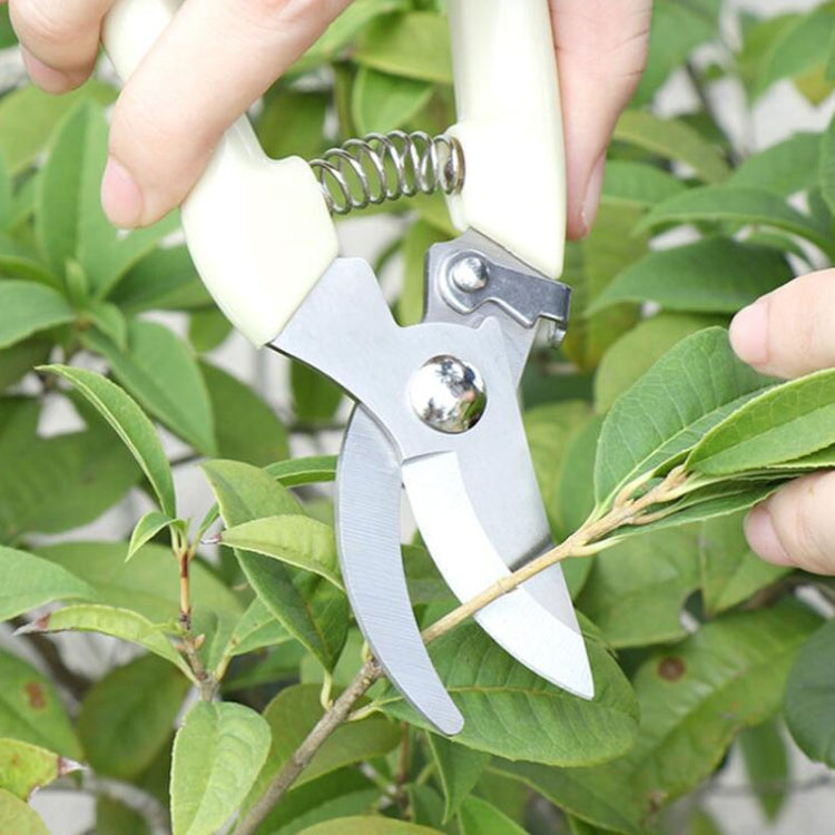 Garden Tools Stainless Steel Pruning Shears Fruit Tree Scissors Garden Branch Shears(Elbow) New And Old Packages Randomly Delivery