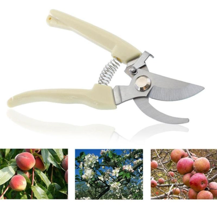 Garden Tools Stainless Steel Pruning Shears Fruit Tree Scissors Garden Branch Shears(Elbow) New And Old Packages Randomly Delivery
