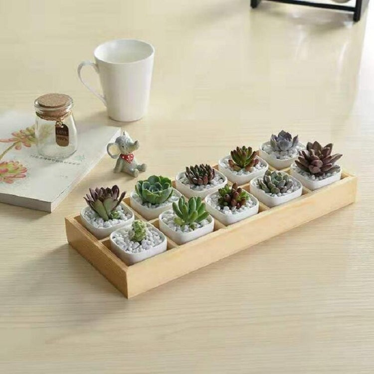 Succulent Wooden Storage Box Landscape Garden Decoration, Specification:10 Cells