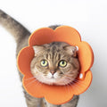 Pet EVA Sponge Lick-proof Sterilization Collar, Size:S 15-21cm(Orange)