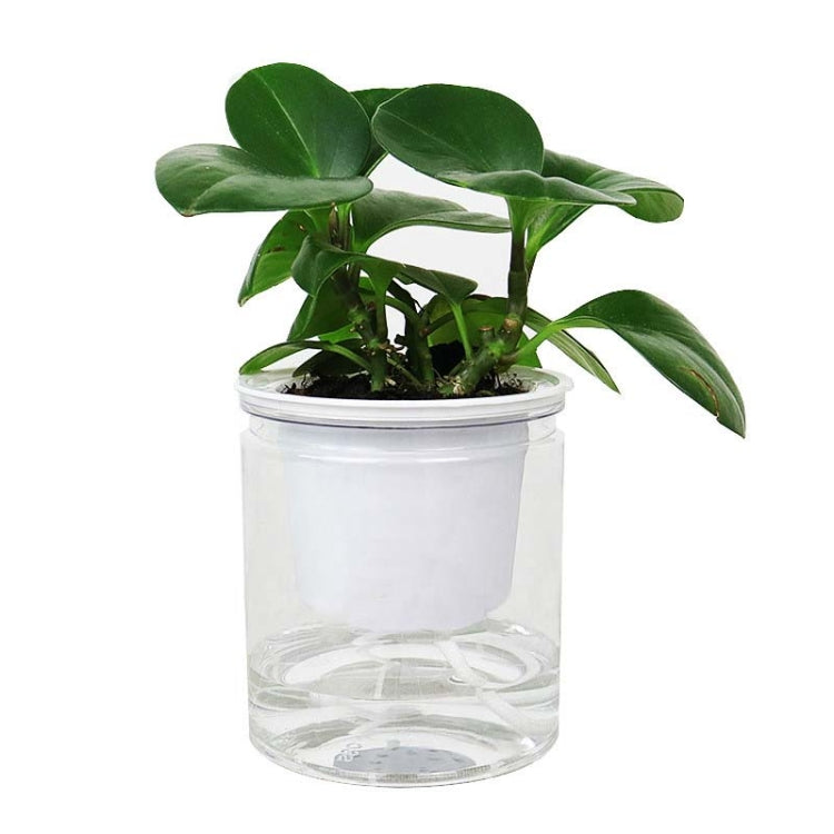 Automatic Water Absorption Hydroponic Pot Succulent Plant Flower Pot, Style:Transparent Without Words