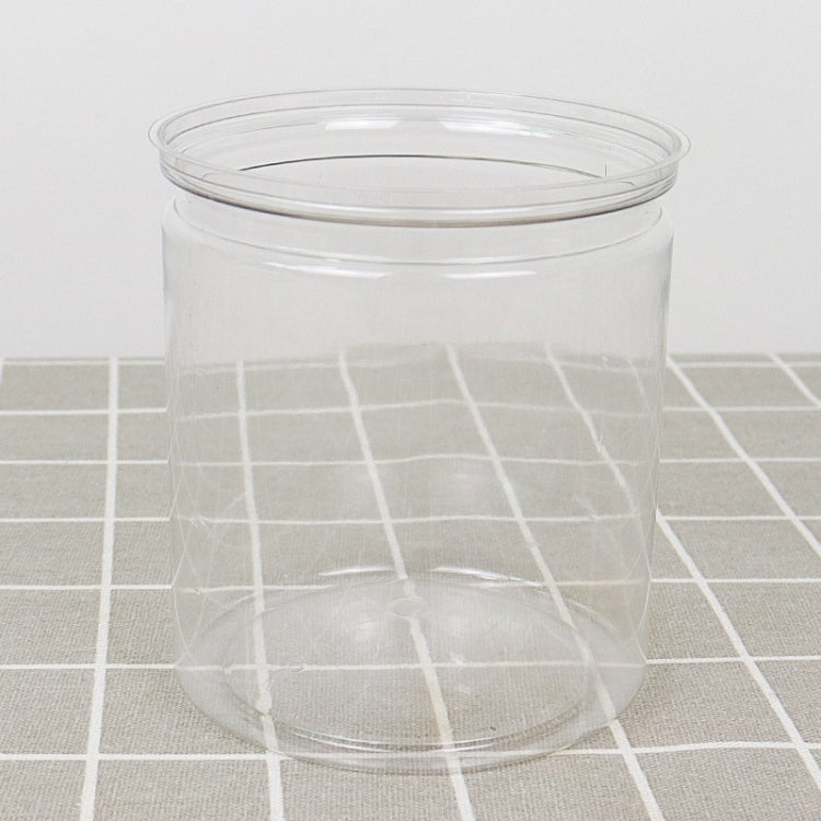 Automatic Water Absorption Hydroponic Pot Succulent Plant Flower Pot, Style:Transparent Without Words