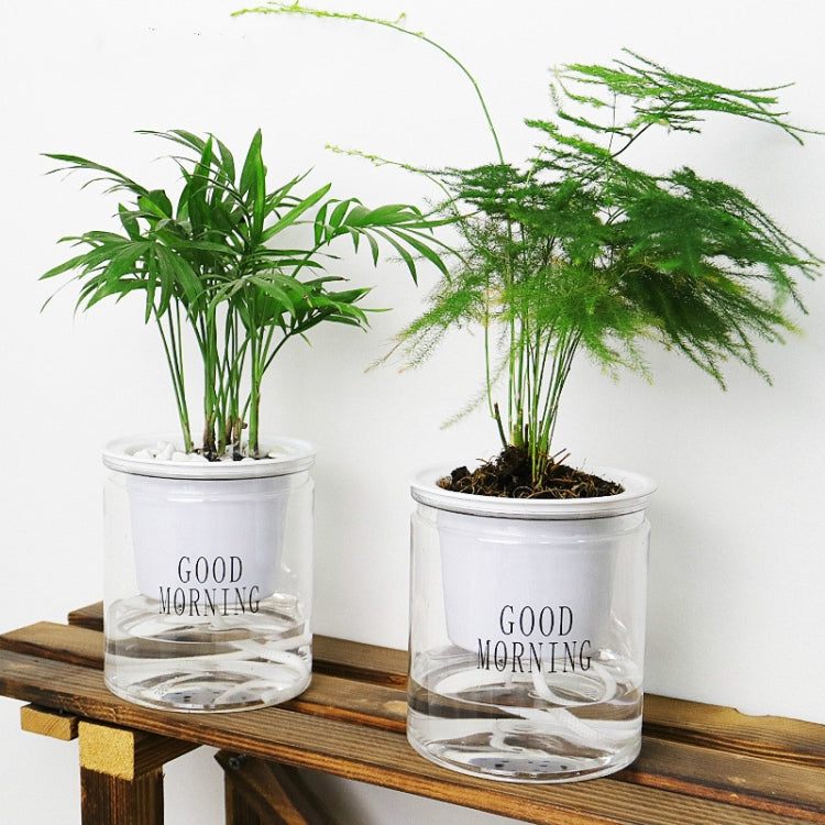 Automatic Water Absorption Hydroponic Pot Succulent Plant Flower Pot, Style:Transparent Without Words