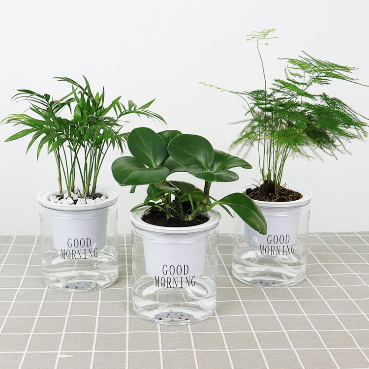Automatic Water Absorption Hydroponic Pot Succulent Plant Flower Pot, Style:Transparent Without Words