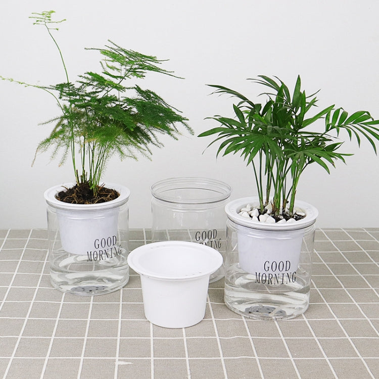 Automatic Water Absorption Hydroponic Pot Succulent Plant Flower Pot, Style:Transparent Without Words
