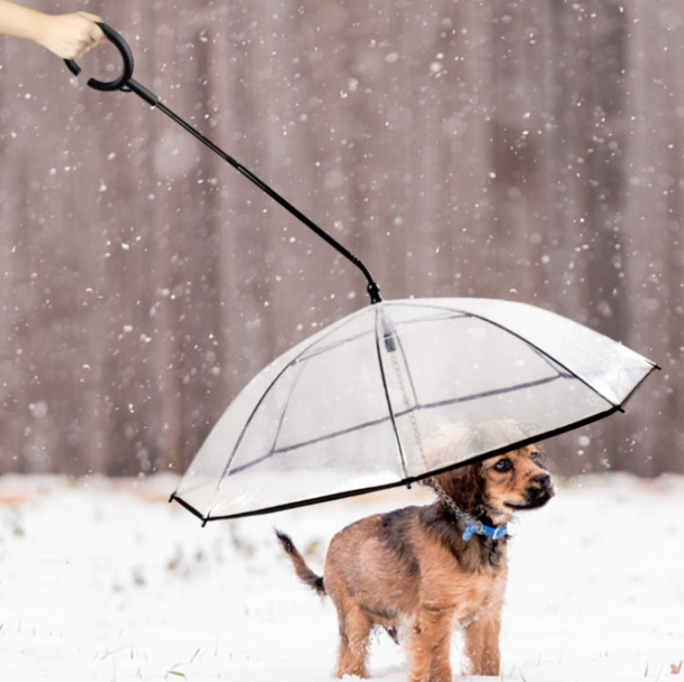 Pet Umbrella Transparent Adjustable Rainy Dog Walking Leash