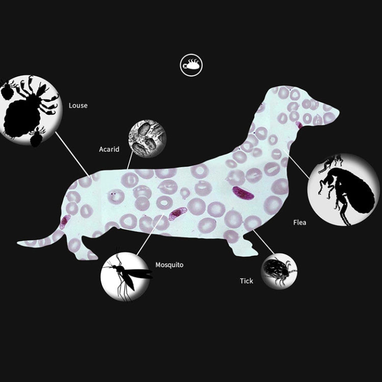 Pet Flea & Anti-Lice Collar Pet In Vitro Insect Repellent Ring, Size:Small Dog/38cm