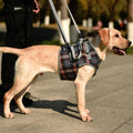 Pet Leg Straps Disabled & Injured Elderly Dog Auxiliary Belt, Size: XL, Style:Front Leg(Blue)