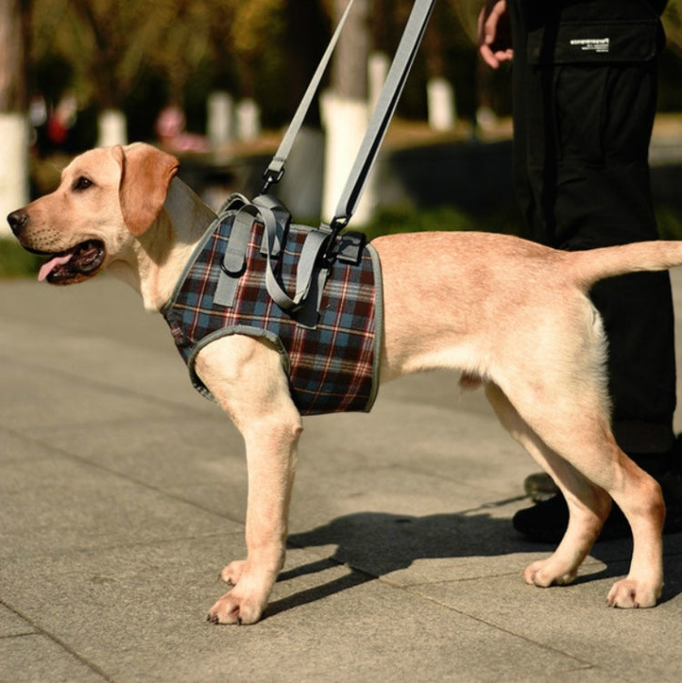 Pet Leg Straps Disabled & Injured Elderly Dog Auxiliary Belt, Size: XL, Style:Front Leg(Blue)