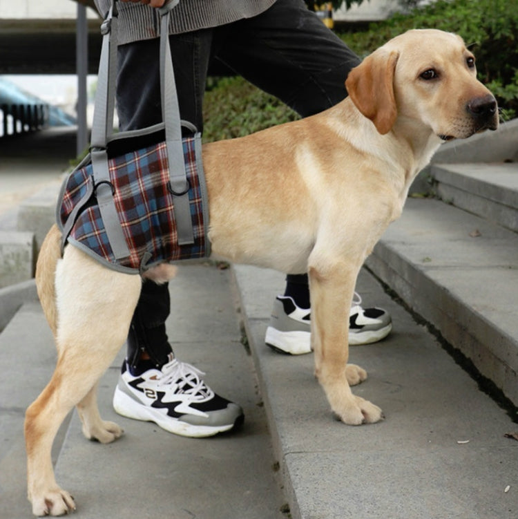 Pet Leg Straps Disabled & Injured Elderly Dog Auxiliary Belt, Size: XL, Style:Hind Leg(Blue)