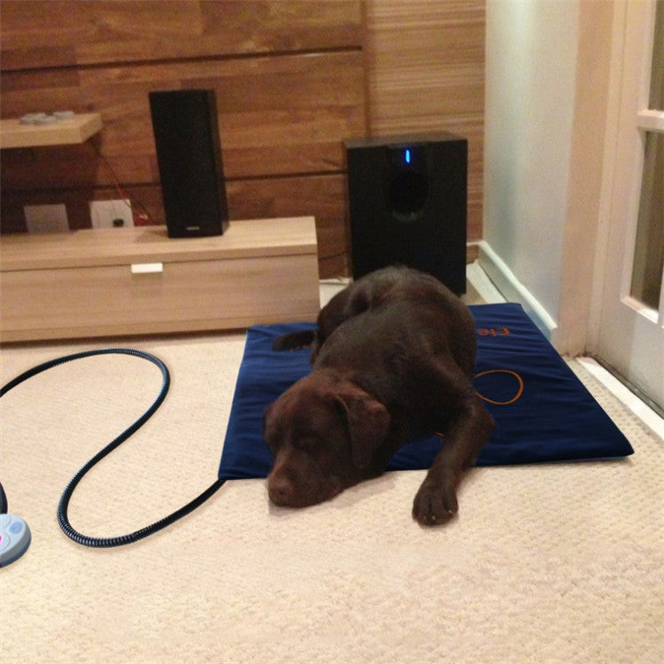 Pet Heating Pad Waterproof and Anti-Scratch Electric Blanket, Size: 60x45cm, Specification: JP Plug